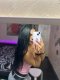 💶Eskort girl💶promo full program 125€  - Снимка 2