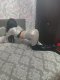 sweet ass naughty cock BGN 80 30 mouths - Снимка 1