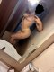 Naty GFE❤️ - Снимка 4