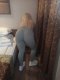 Топ изкушение ♥️😘 - Снимка 3