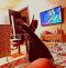 best blowjob 69 cum in my mouth - Снимка 0