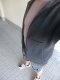 For serious women only 100% discretion  - Снимка 1