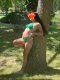 Alisia…🧸 - Снимка 1