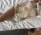 Little Slut - Снимка 4
