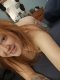 Sex clips and video chat   - Снимка 10