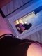 😈Debauchery in chat format 😈 - Снимка 2