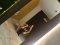 Erotic massage with class and personal attention - Снимка 1