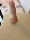 Come on. Let's have fun together. - Снимка 2