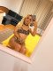 New blonde 👱‍♀️  - Снимка 0