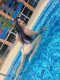 Top escort Reeal photo100%  - Снимка 0