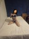 SEX - Снимка 1