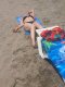 At the address and hotel with real photos  - Снимка 5