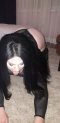 Blonde and black sex like in a porn movie - Снимка 16