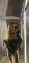 🔥BITCH of the Year💦 sex🔞NONS🔝you set the rules 100€2 hrs - Снимка 19