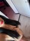 🔥🔥💖💯💯Valeria Hot 🔥 GFE - Снимка 1