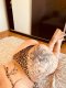 Lidiya❤️ Escort❤️ - Снимка 3