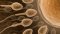 I offer BGN 200 per meeting - Please read the ad - Снимка 0