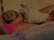 best blowjob 69 cum in my mouth - Снимка 0