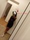 🔥🔥🍌🍌🍒🍒HOT MAGI ❤️🔥🔥🍌🍌🍒🍒TOP ESCORT - Снимка 0