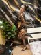 Alexia REALNA 🤩Top🫡 BRYNETKA🥵 - Снимка 0