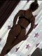 🔞New in town 🔞 - Снимка 4
