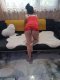 New chick Varna  - Снимка 1
