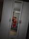 ❤️‍🔥 TOP NEW SIYANA 🥰 ESCORT❤️‍🔥  - Снимка 0