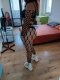 Full program 50€ 30min - Снимка 2