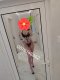 Come and try me😘 - Снимка 5