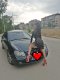 Vibrator show 150EUR 30min50EUR  - Снимка 6
