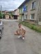 I am free at any time. - Снимка 1