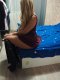 Nikol,💋👅👄 - Снимка 4