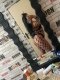 Alisia Beeb 🤑❤️Твоята сладка слабост.🍓 - Снимка 7