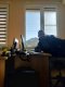 I am recruiting female companions to work as an elite escort.  - Снимка 3