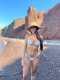 🔥Maya Brazil Escort🔥 - Снимка 1