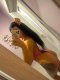 Really Escort🩷🎀🩷 - Снимка 3