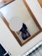  🔥🔞Natally VIP Luxury Escort 🔞🔥  - Снимка 3