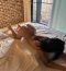 Charm, style and an unforgettable experience! Up to 30min-40euro - Снимка 3