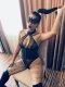 Top escort! I'm looking for a slave..💋 - Снимка 4