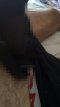 Amazing and solid penis - Снимка 0