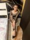Alexia REALNA 🤩Top🫡 BRYNETKA🥵 - Снимка 2