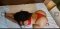 Top escort 😘🥰❤️💯 - Снимка 2