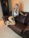 What’s App Book me Im The best  - Снимка 4