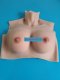 Silicone breasts, bust, tits, shemale, trans, crossdressers - Снимка 0