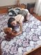  заповядайте да се забавляваме 😘😘😘 - Снимка 4