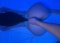 I'm waiting for you! Come and take advantage  - Снимка 6