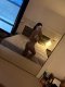 INA VIP ESCORT - Снимка 2