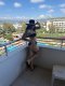Party girl sexy 💣  - Снимка 3