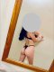 👄New Pussy👅 - Снимка 3