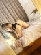 ‼️New Top Escort‼️ 🍫 Laura 🍫 - Снимка 3